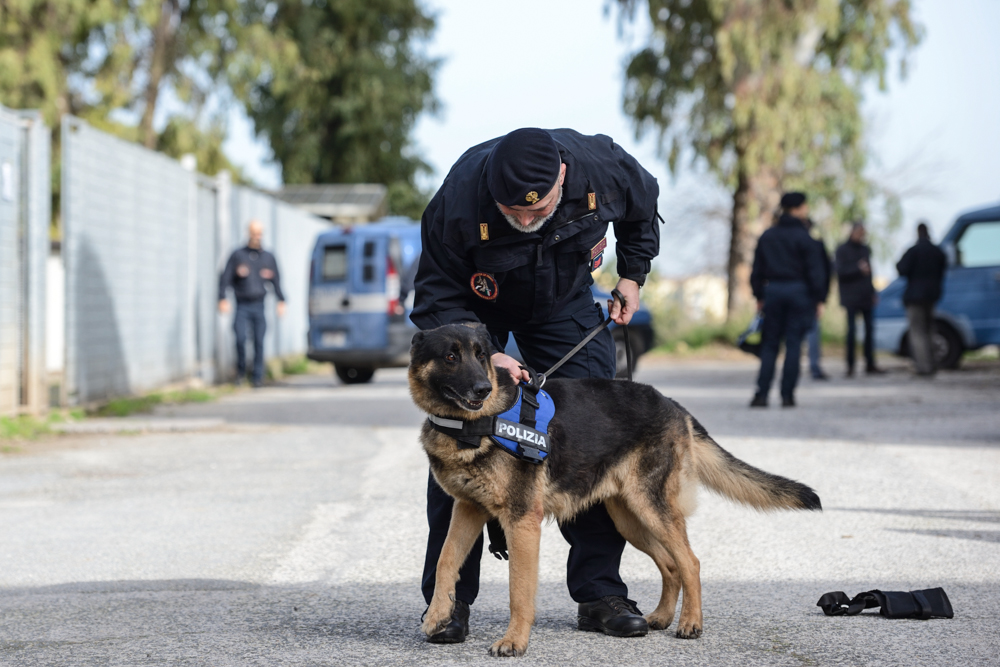 addestramento cinofili con cani da ordine pubblico