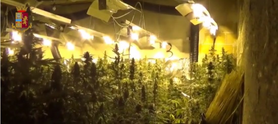 Frosinone: sequestrata serra con 1.400 piante di marijuana, un arresto