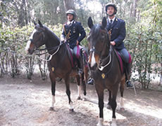 Due poliziotti del reparto a cavallo