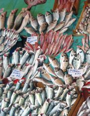 pesce in esposizione al mercato
