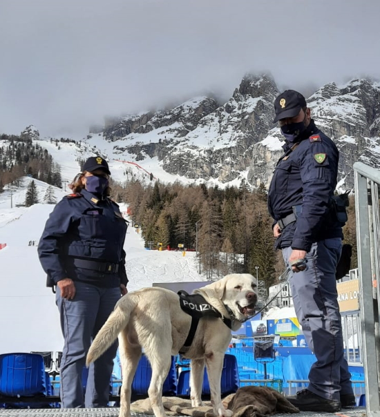 Squadra cinofili ai campionati mondiali di sci cortina 2021