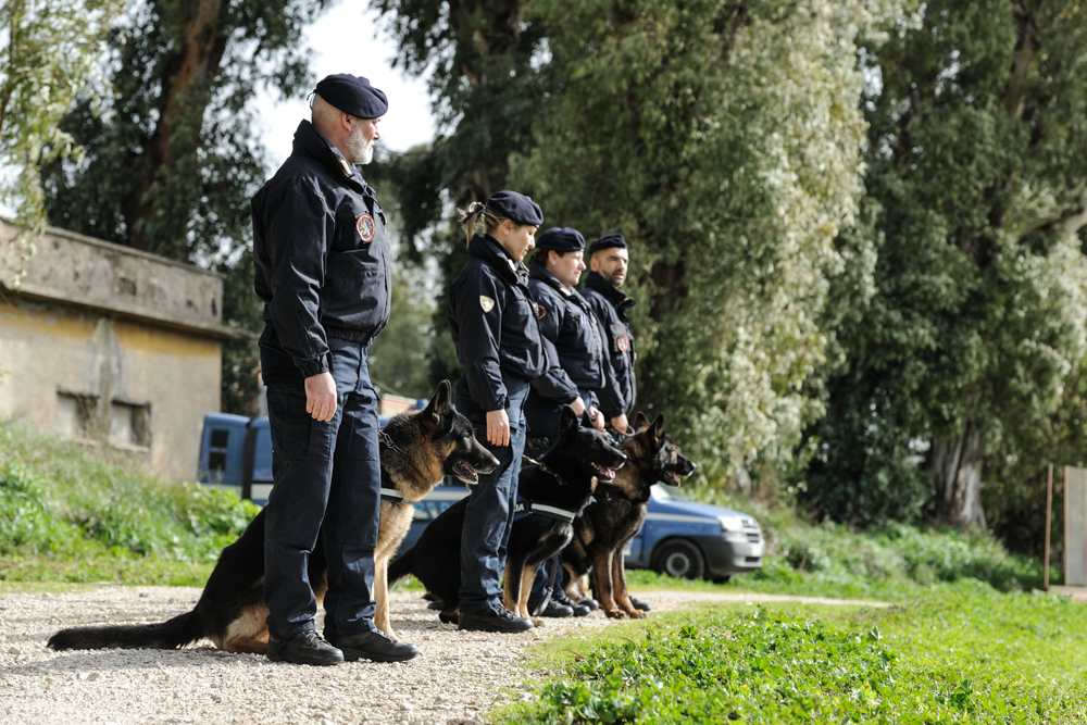 addestramento cinofili con cani da ordine pubblico