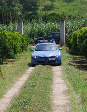 Operazione di polizia