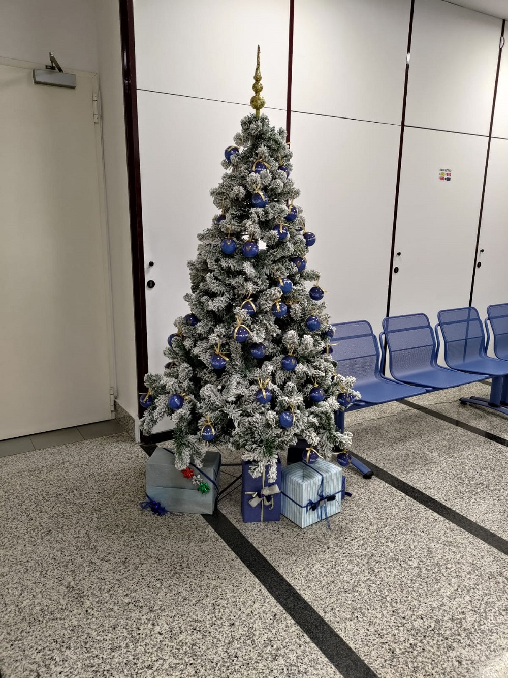 Gli alberi di Natale nelle città d’Italia con le decorazioni natalizie della Polizia di Stato: Rimini
