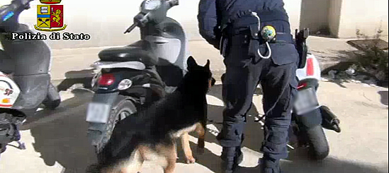 Controlli antidroga con cani poliziotto