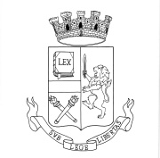 icona del disegno dello stemma araldico